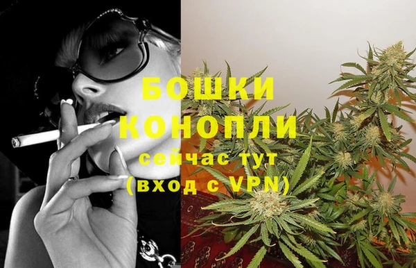 прущие грибы Бугульма