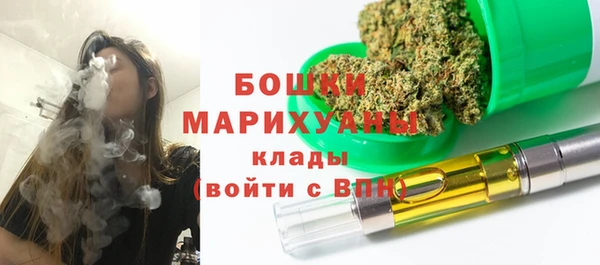 мдпв Богданович