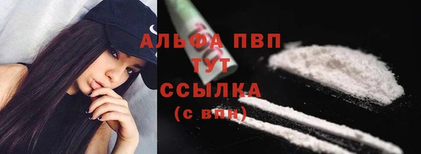 экстази Бородино
