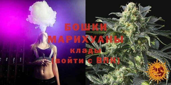 прущие грибы Бугульма