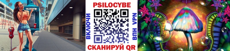 наркотики  Гатчина  Галлюциногенные грибы Cubensis 
